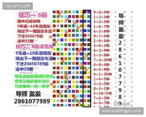 幸运飞艇走势图分析与投注技巧全面解析指导方案