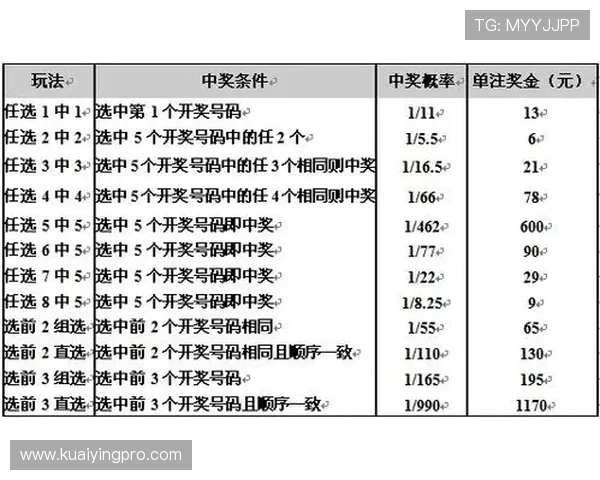 彩票投注技巧全解析与实战指南助你提升中奖概率